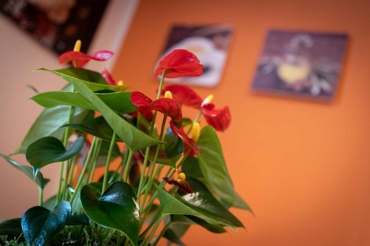 Casa Martina- Airport Free Shuttle-H24 Apartment Bergamo Ngoại thất bức ảnh
